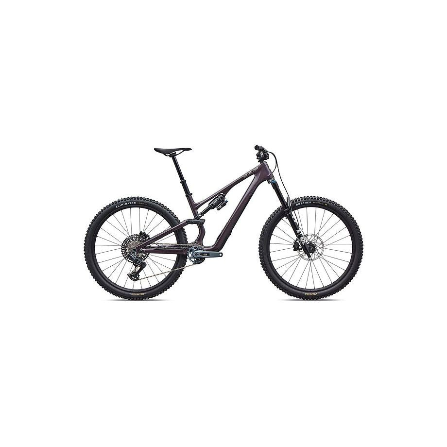 Stumpjumper 15 EVO Expert AXS