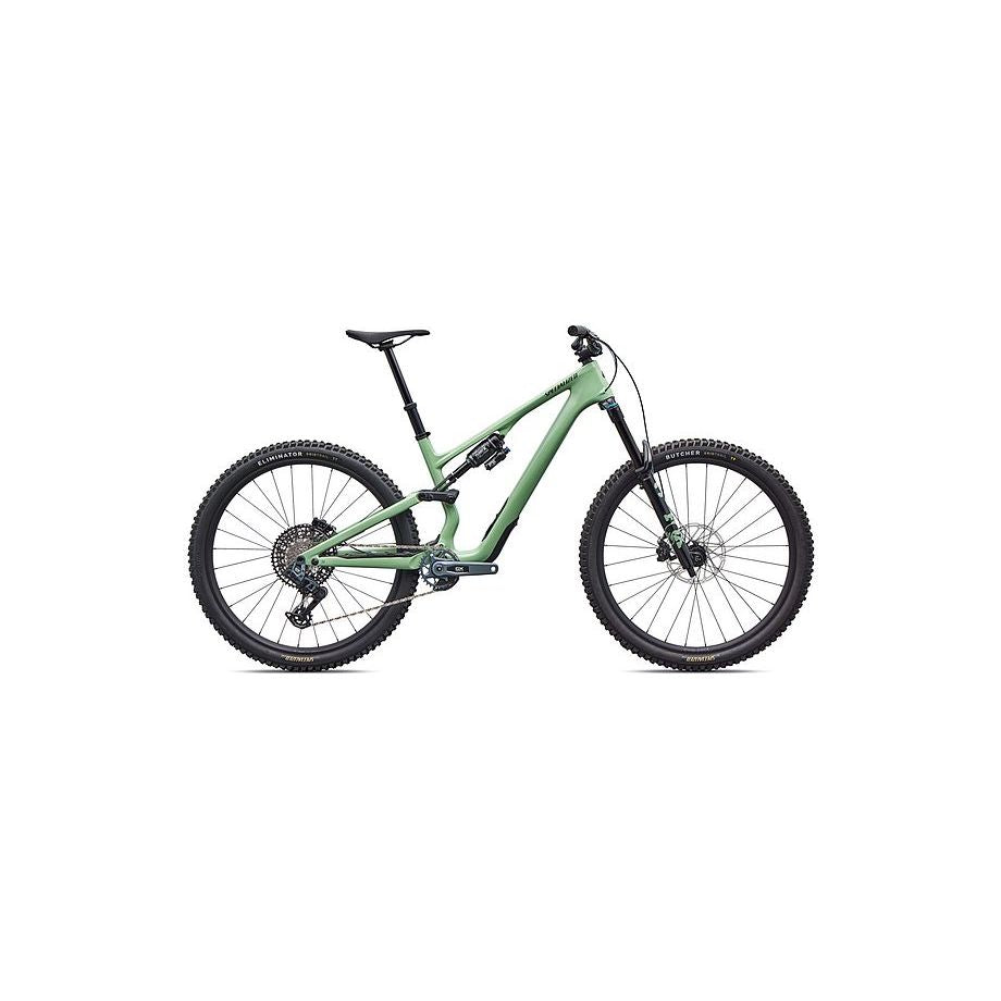 Stumpjumper 15 EVO Expert AXS