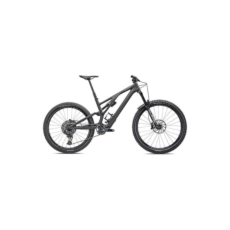 Stumpjumper EVO LTD