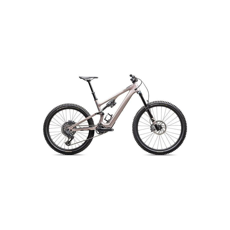 Turbo Levo SL 2 Expert