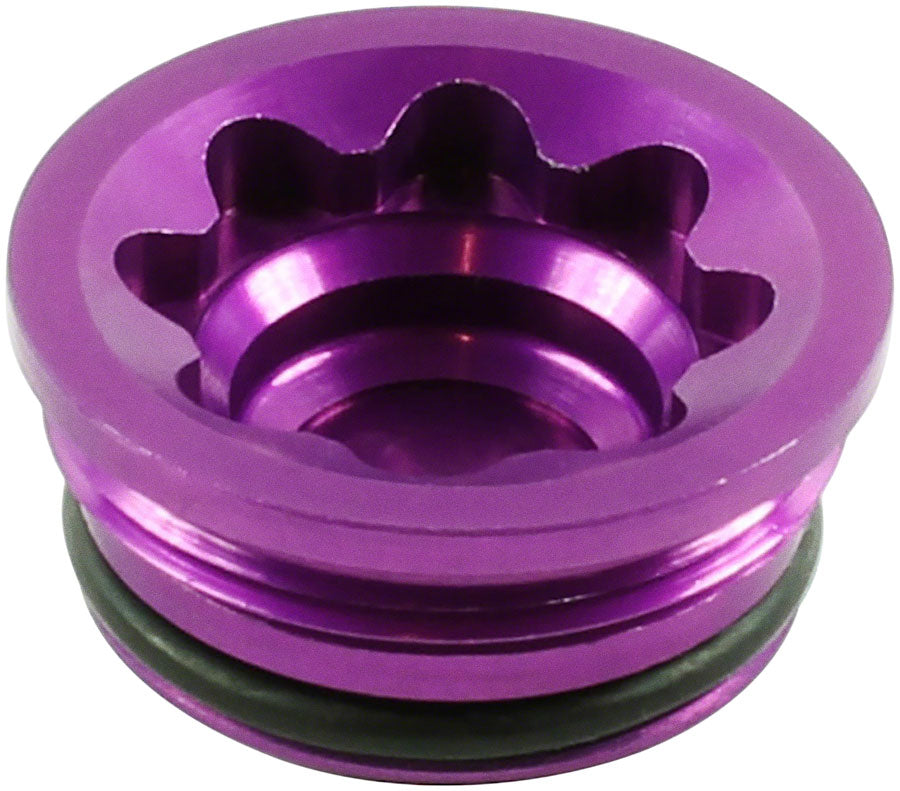 Disc Brake Caliper Bore Caps and Bore Cap O-Rings