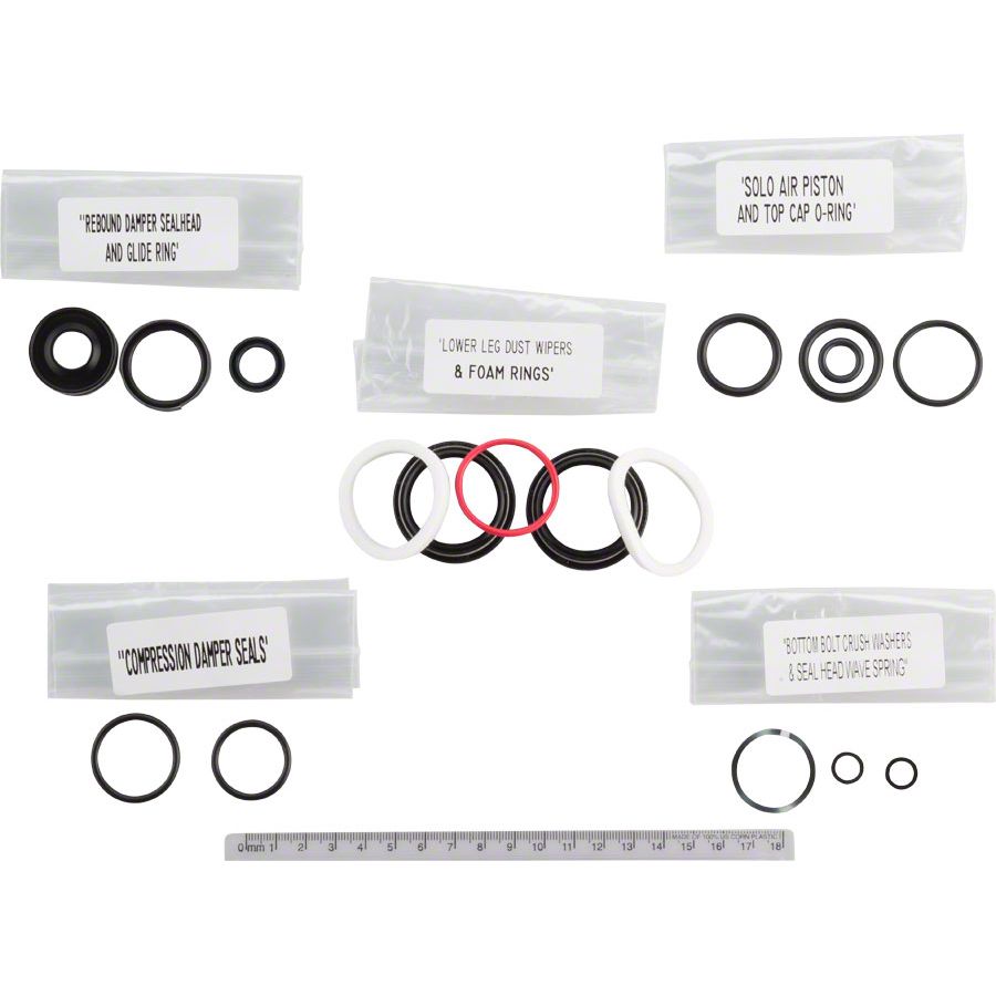 200 Hour Fork Service Kit