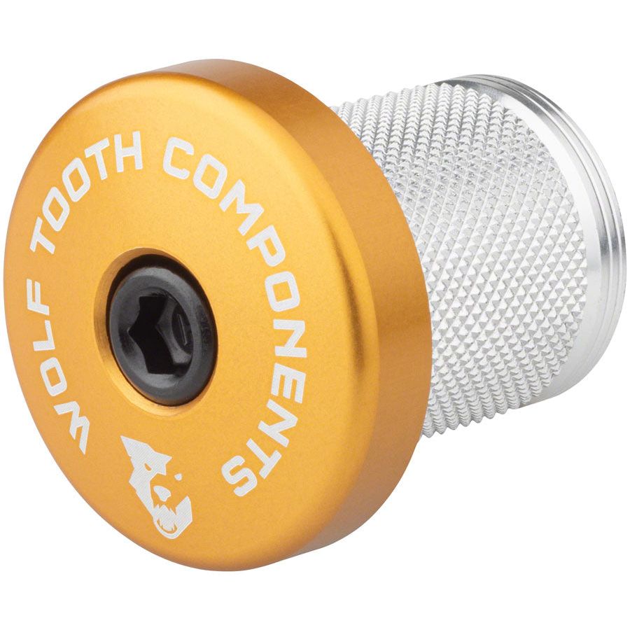 Compression Plug With Integrated Spacer Stem Cap