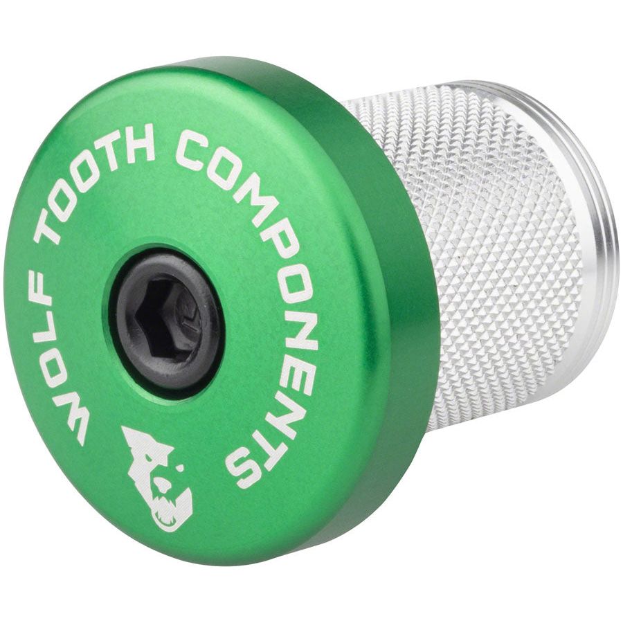 Compression Plug With Integrated Spacer Stem Cap