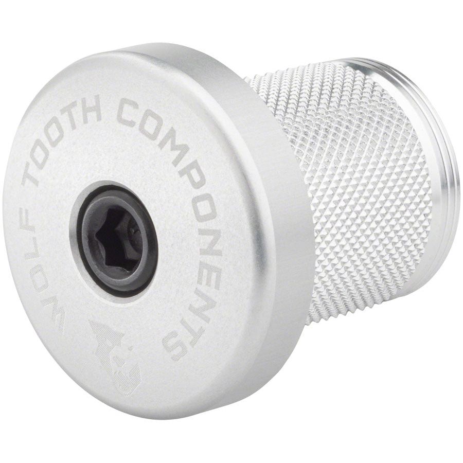 Compression Plug With Integrated Spacer Stem Cap