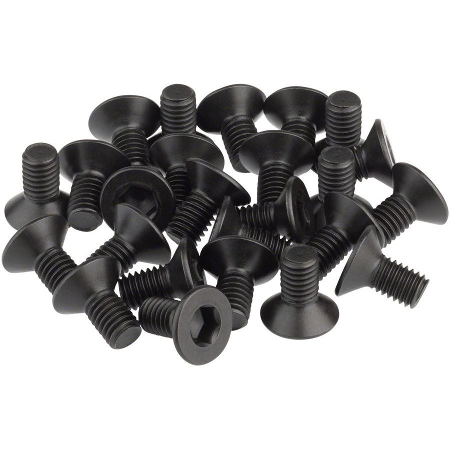 Cleat Screws