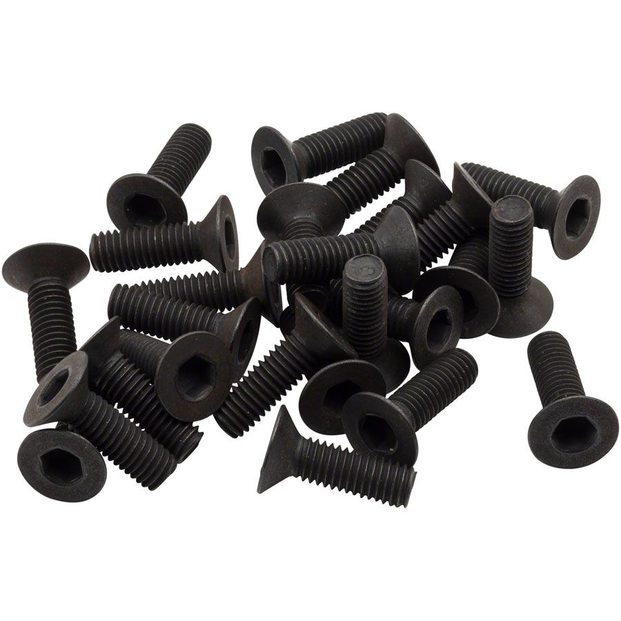 Cleat Screws
