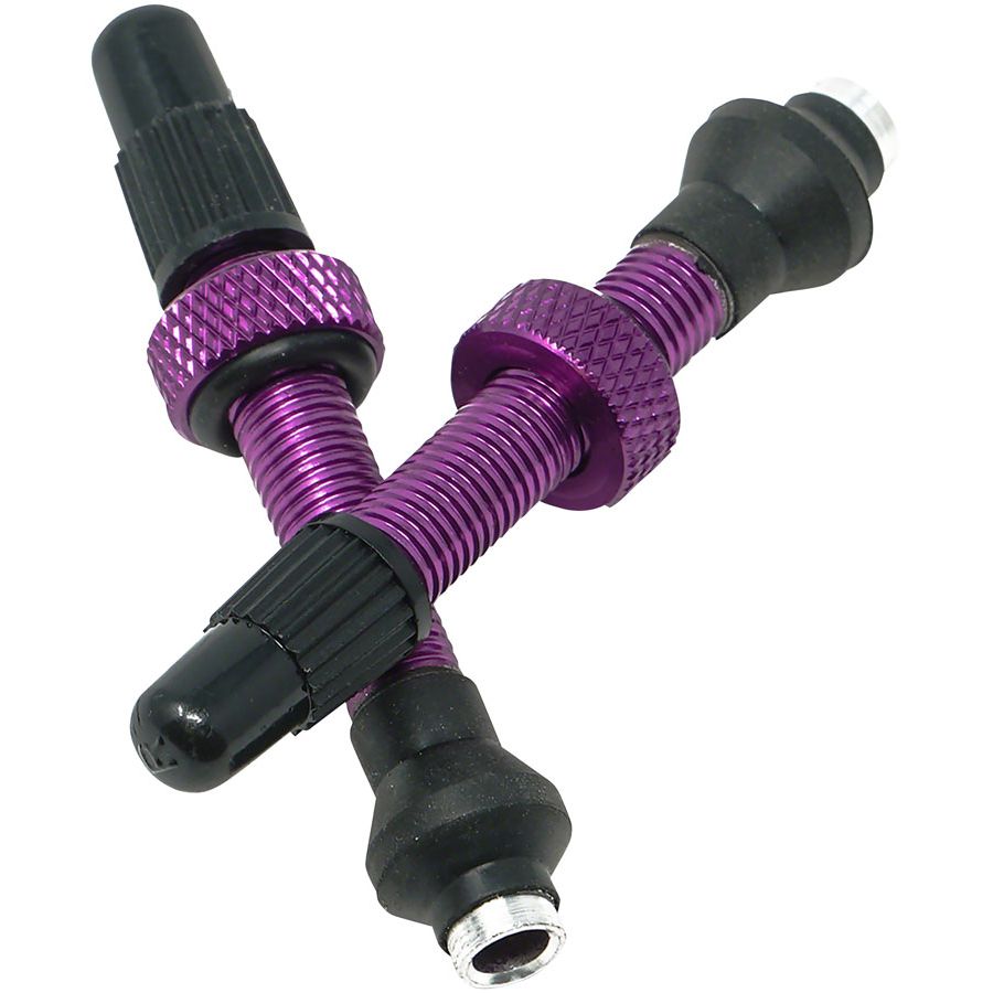 Tubeless Valves