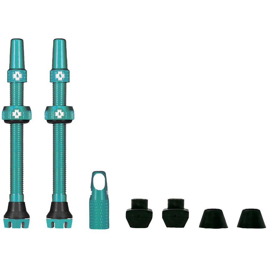 V2 Tubeless Valve Kit