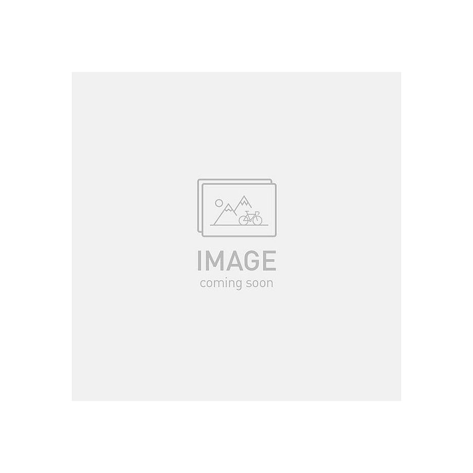 Ambush 2 Replacement Visor