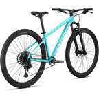 Rockhopper Expert 29