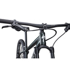Rockhopper Expert 29