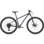 Rockhopper Expert 29