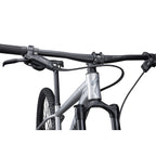 Rockhopper Expert 29