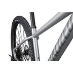Rockhopper Expert 29