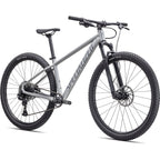 Rockhopper Expert 29