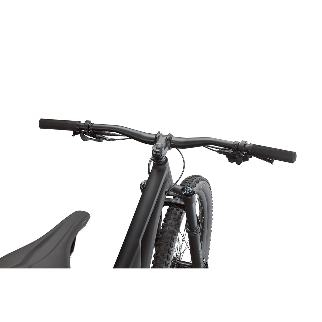 Stumpjumper Alloy