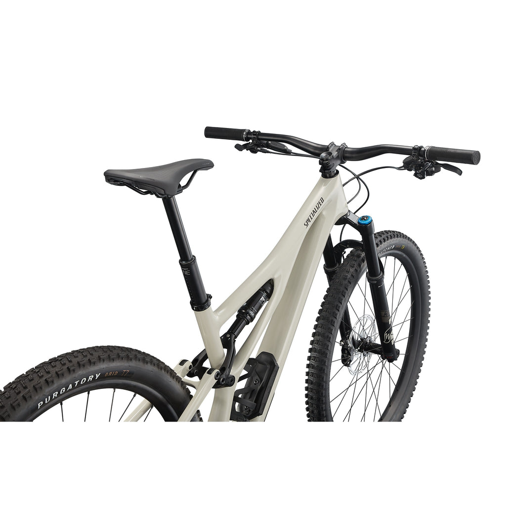 Stumpjumper Expert