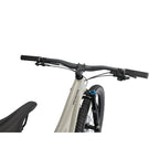Stumpjumper Expert
