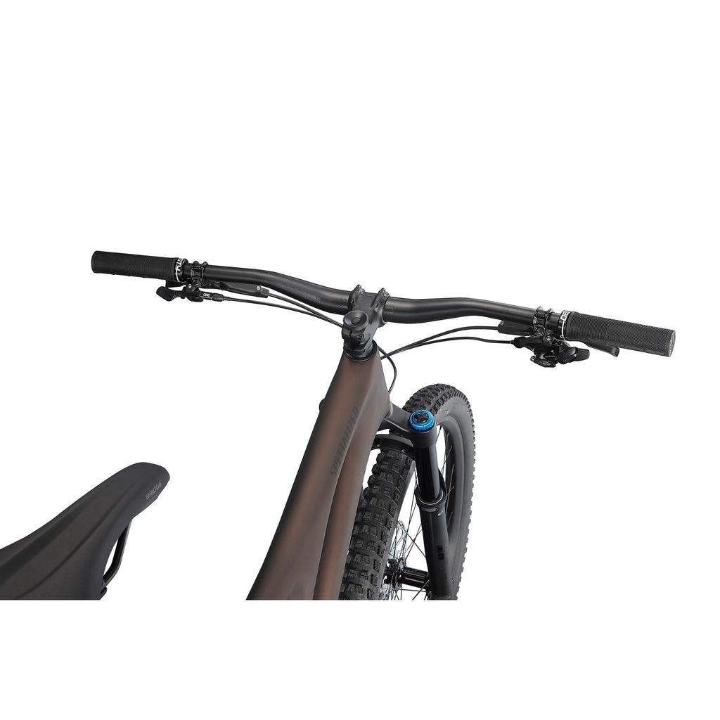 Stumpjumper Expert