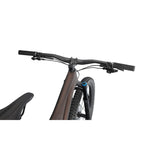 Stumpjumper Expert