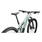 Stumpjumper Comp