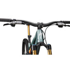 S-Works Stumpjumper 15 LTD - FOX DHX Live Valve Neo