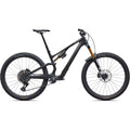 Stumpjumper 15 EVO Pro