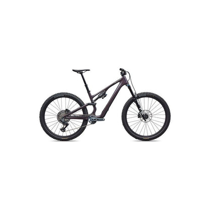 Stumpjumper 15 EVO Expert AXS