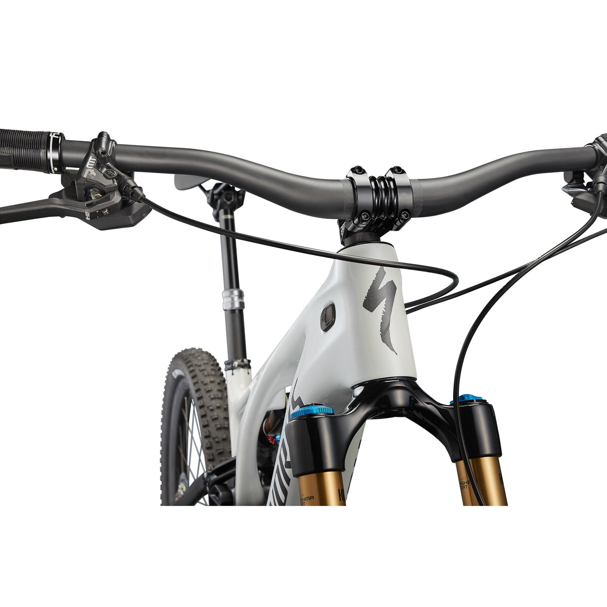 S-Works Turbo Levo 3