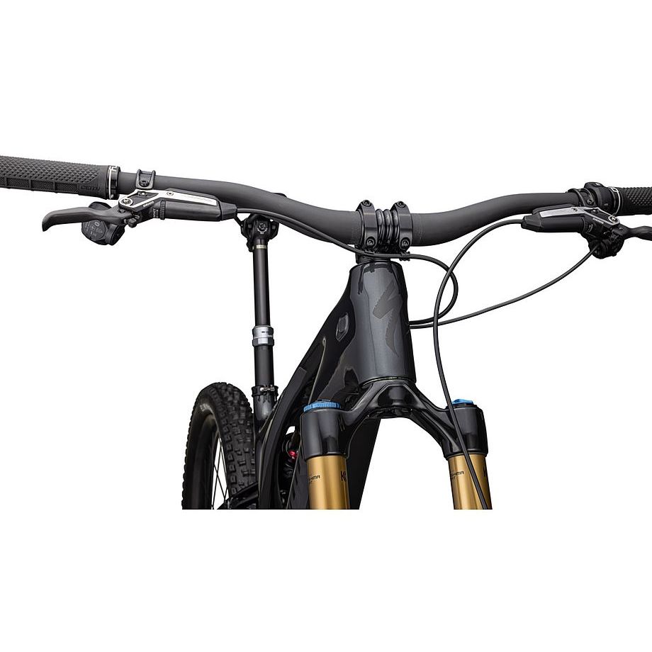 S-Works Turbo Levo 3 T-Type