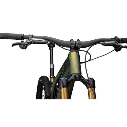 S-Works Turbo Levo 3 T-Type