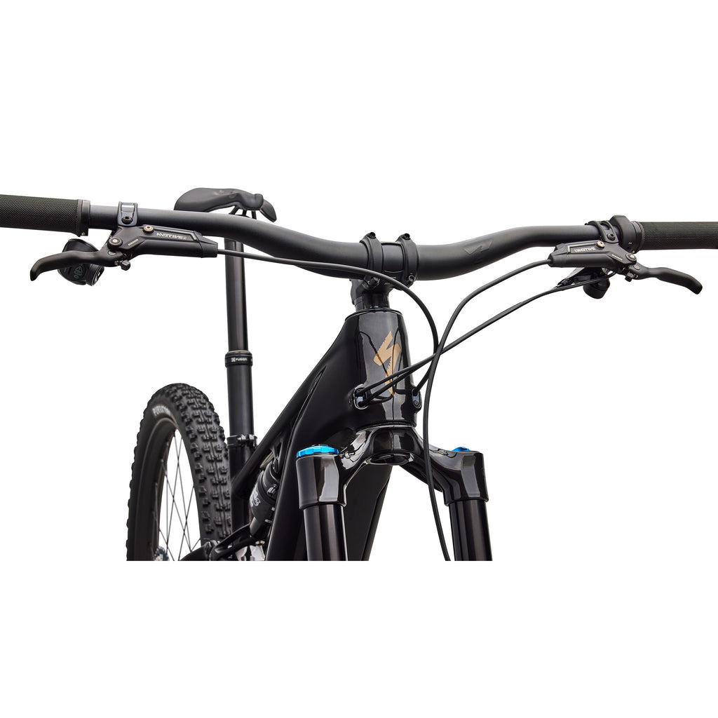Turbo Levo R Expert