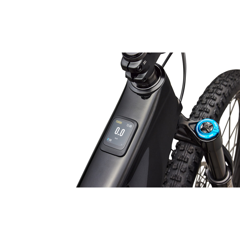 Turbo Levo R Expert