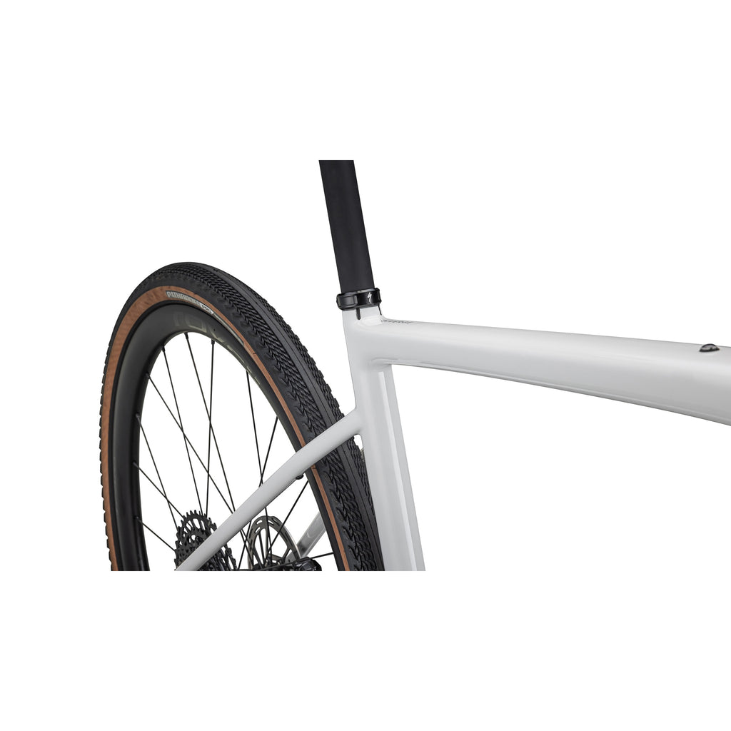 Diverge Expert Carbon