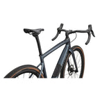 Diverge Expert Carbon