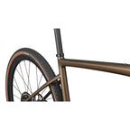 Diverge Expert Carbon