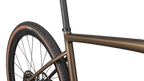 Diverge Expert Carbon
