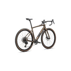 Diverge Expert Carbon