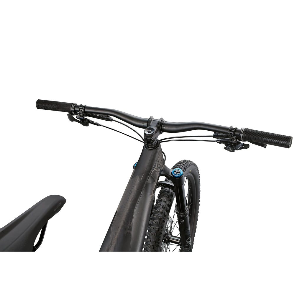Stumpjumper EVO Expert