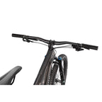 Stumpjumper EVO Expert
