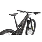 Stumpjumper EVO Expert