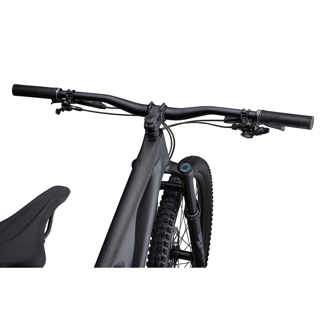 Stumpjumper EVO Expert RS