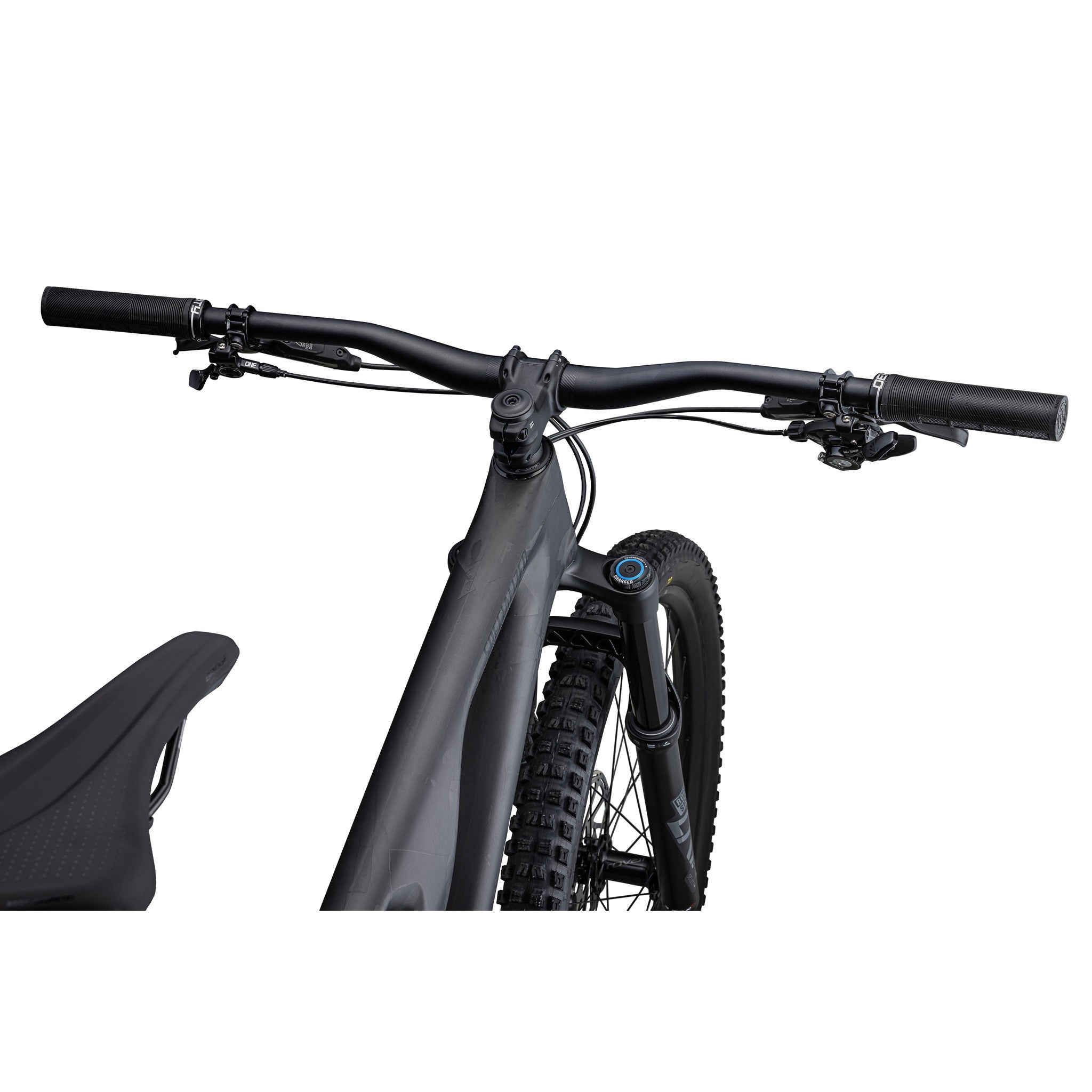 Stumpjumper EVO Expert RS