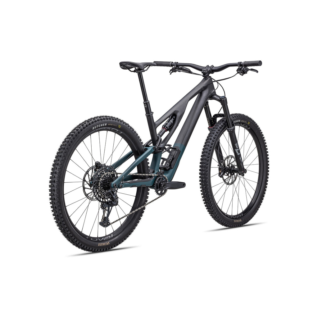 Stumpjumper EVO Expert RS