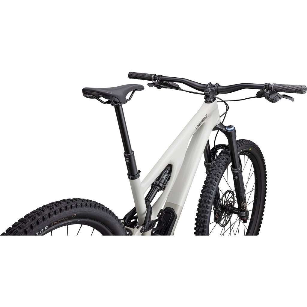 Stumpjumper EVO Expert