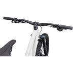 Stumpjumper EVO Expert