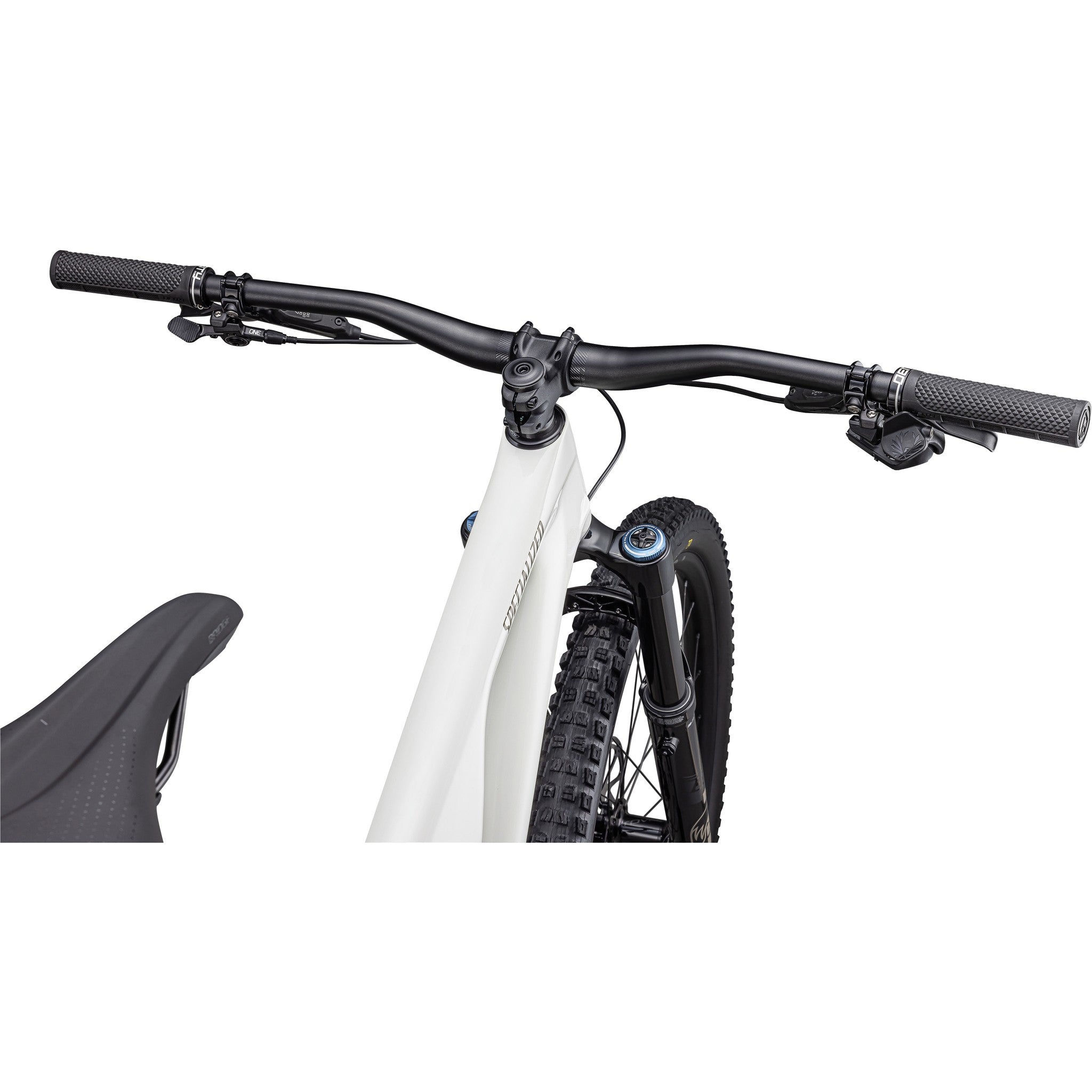 Stumpjumper EVO Expert