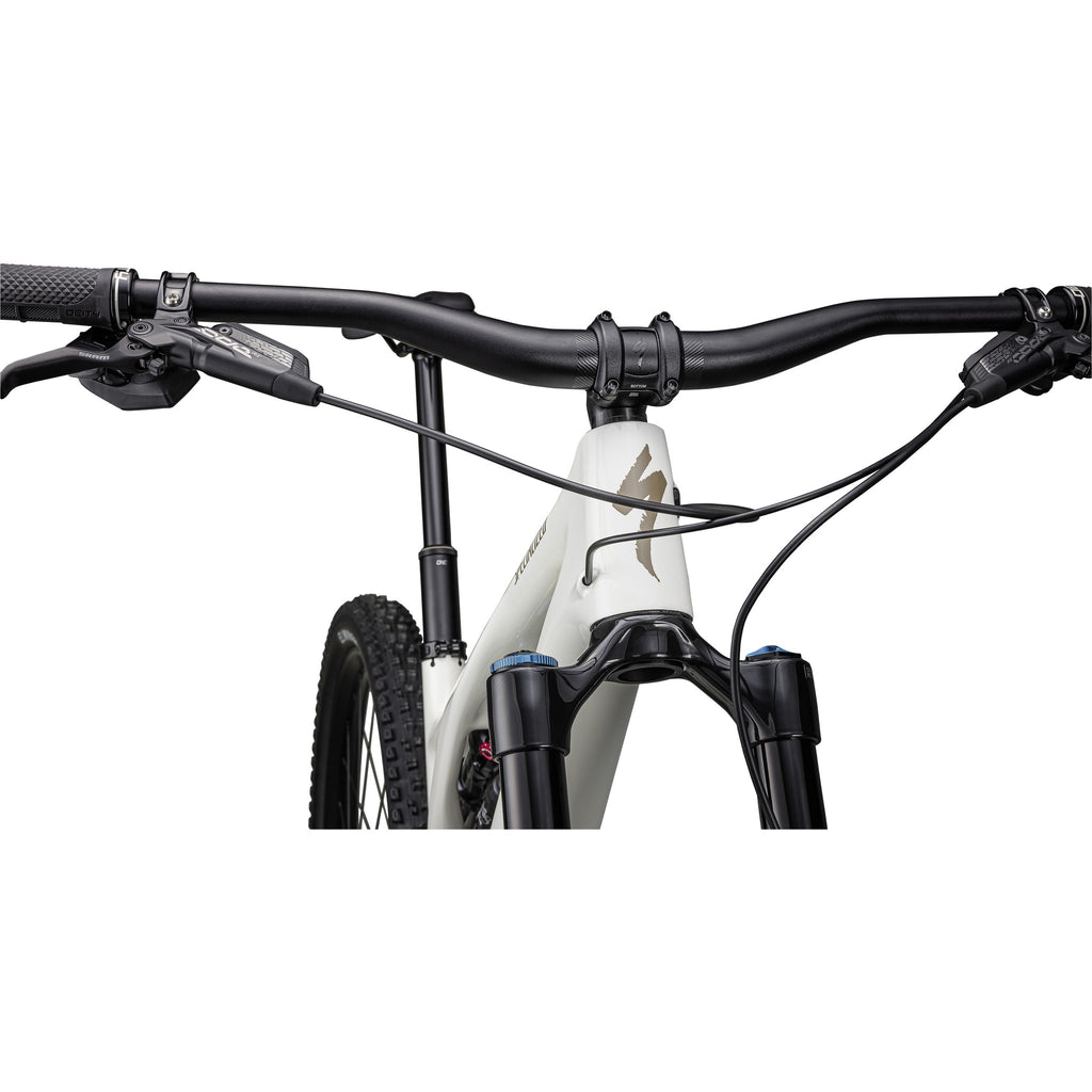 Stumpjumper EVO Expert