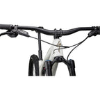 Stumpjumper EVO Expert